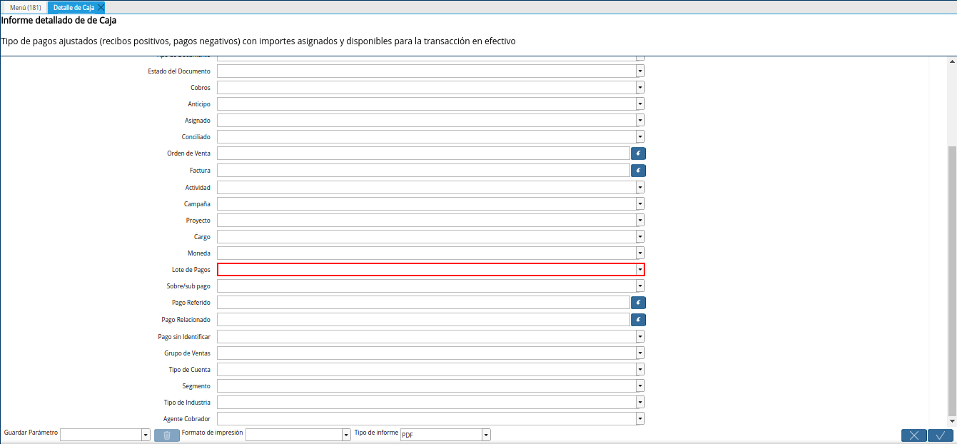campo lote de pago del reporte detalle de caja