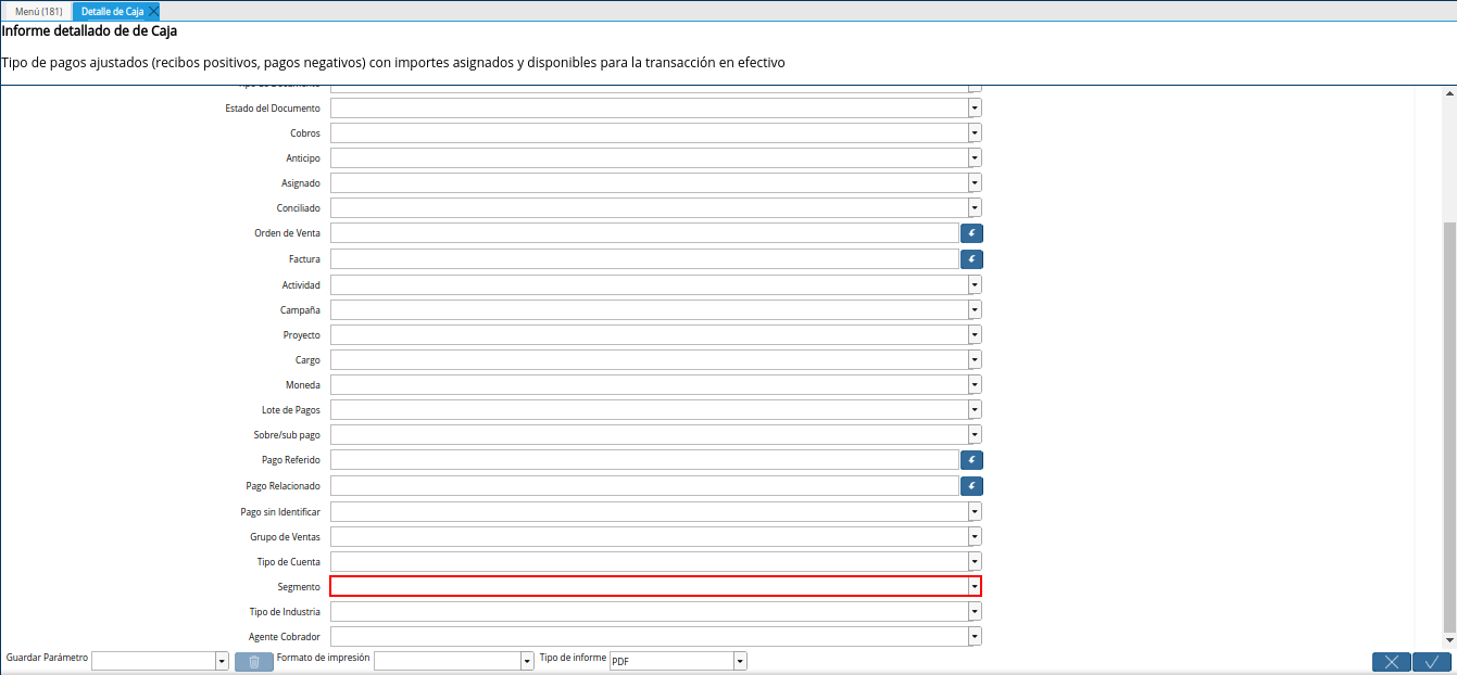 campo segmento del reporte detalle de caja