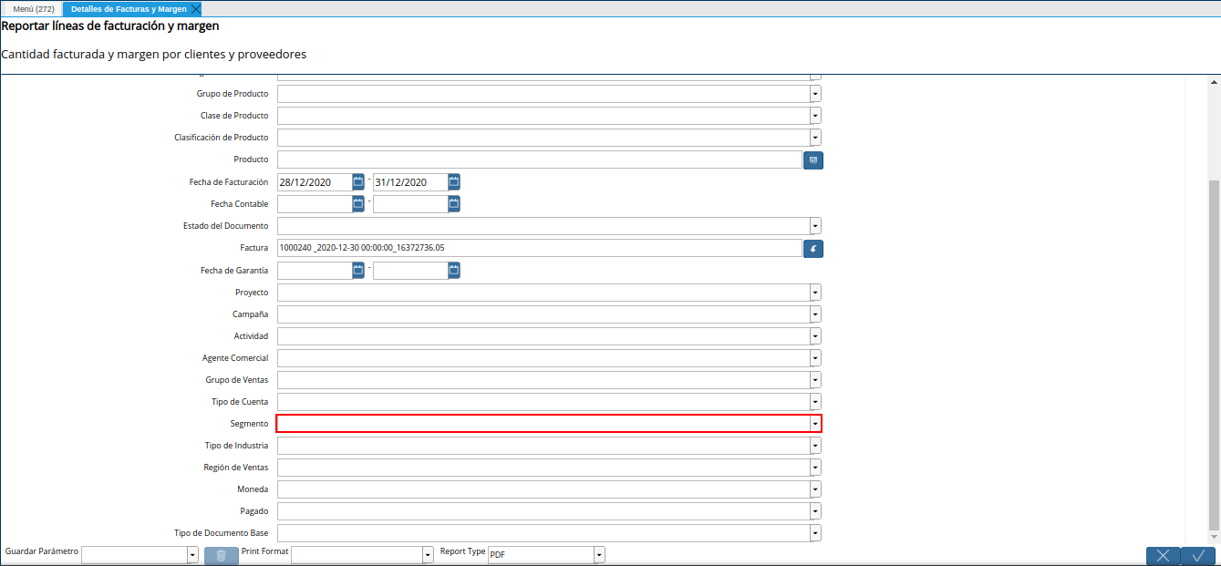 campo segmento del reporte detalles de facturas y margen